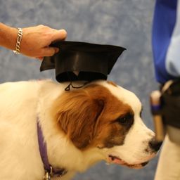 photograph by PeterW